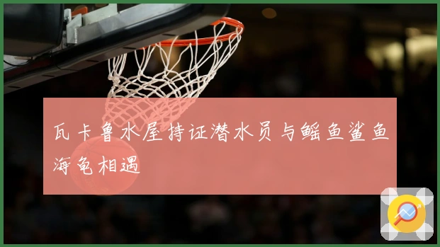 瓦卡鲁水屋持证潜水员与鳐鱼鲨鱼海龟相遇