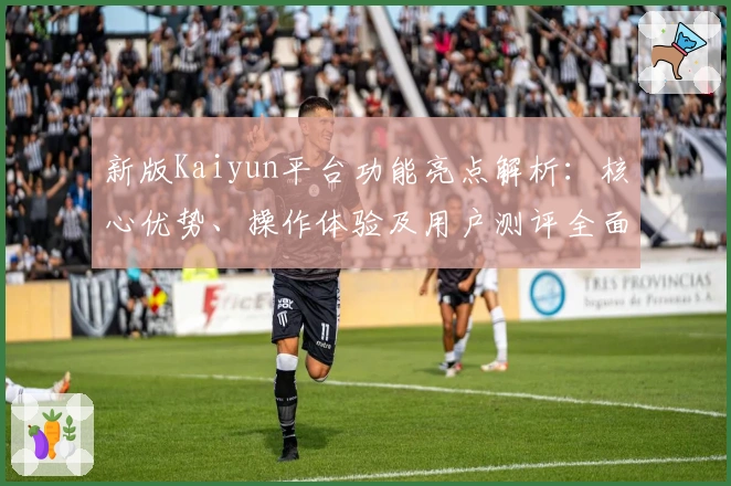 新版Kaiyun平台功能亮点解析：核心优势、操作体验及用户测评全面汇总