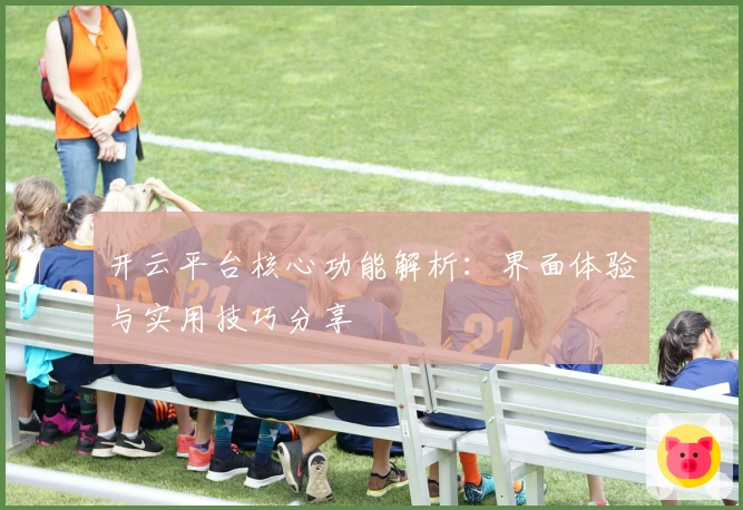 开云平台核心功能解析：界面体验与实用技巧分享