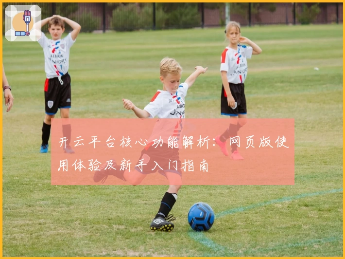 开云平台核心功能解析：网页版使用体验及新手入门指南